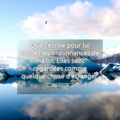 Picture 05 - Osée 8:12 LSG - Que j'écrive pour lui toutes les ordonnances de - Bible Verse Picture