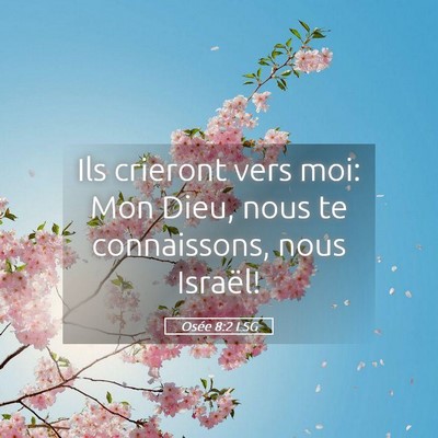Picture 05 - Osée 8:2 LSG - Ils crieront vers moi: Mon Dieu, nous te - Bible Verse Picture