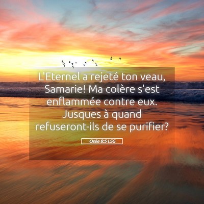 Picture 05 - Osée 8:5 LSG - L'Eternel a rejeté ton veau, Samarie! Ma colère - Bible Verse Picture