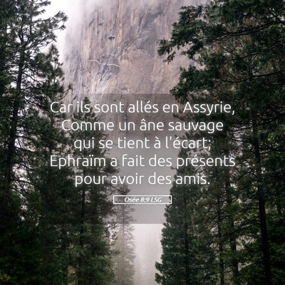 Picture 05 - Osée 8:9 LSG - Car ils sont allés en Assyrie, Comme un âne - Bible Verse Picture
