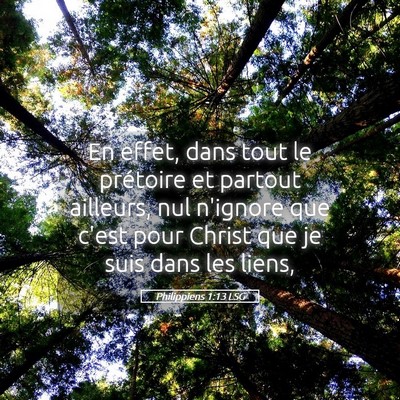 Picture 05 - Philippiens 1:13 LSG - En effet, dans tout le prétoire et partout - Bible Verse Picture