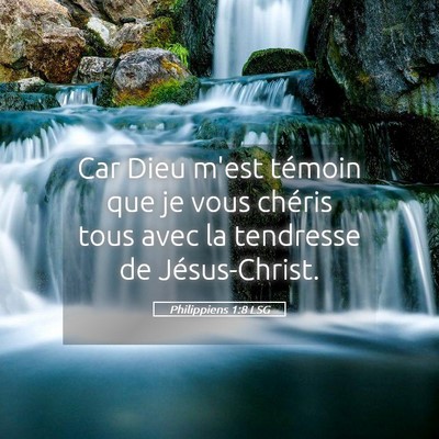 Picture 05 - Philippiens 1:8 LSG - Car Dieu m'est témoin que je vous chéris tous - Bible Verse Picture