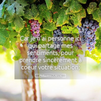 Picture 05 - Philippiens 2:20 LSG - Car je n'ai personne ici qui partage mes - Bible Verse Picture