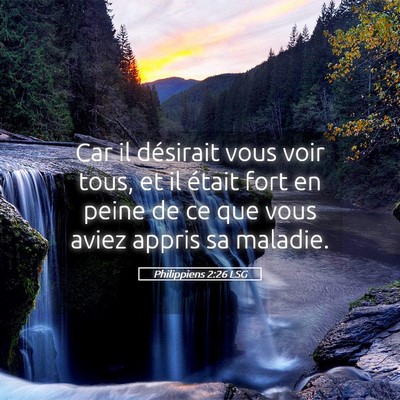 Picture 05 - Philippiens 2:26 LSG - Car il désirait vous voir tous, et il était - Bible Verse Picture