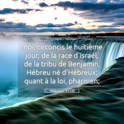 Picture 05 - Philippiens 3:5 LSG - moi, circoncis le huitième jour, de la race - Bible Verse Picture