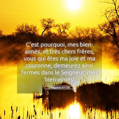 Picture 05 - Philippiens 4:1 LSG - C'est pourquoi, mes bien-aimés, et très chers - Bible Verse Picture