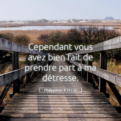 Picture 05 - Philippiens 4:14 LSG - Cependant vous avez bien fait de prendre part à - Bible Verse Picture