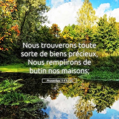 Picture 05 - Proverbes 1:13 LSG - Nous trouverons toute sorte de biens précieux, - Bible Verse Picture