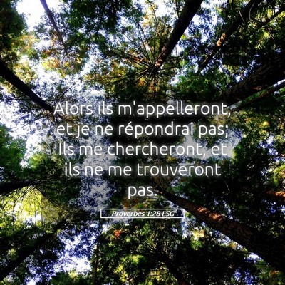Picture 05 - Proverbes 1:28 LSG - Alors ils m'appelleront, et je ne répondrai pas; - Bible Verse Picture