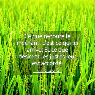 Picture 05 - Proverbes 10:24 LSG - Ce que redoute le méchant, c'est ce qui lui - Bible Verse Picture