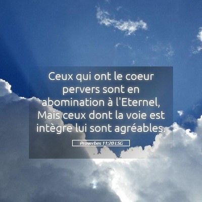 Picture 05 - Proverbes 11:20 LSG - Ceux qui ont le coeur pervers sont en abomination - Bible Verse Picture