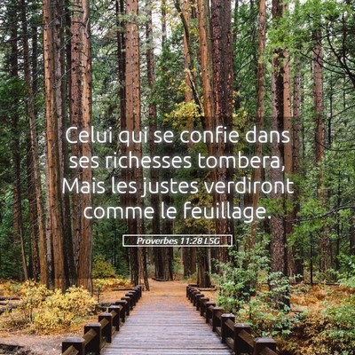 Picture 05 - Proverbes 11:28 LSG - Celui qui se confie dans ses richesses tombera, - Bible Verse Picture