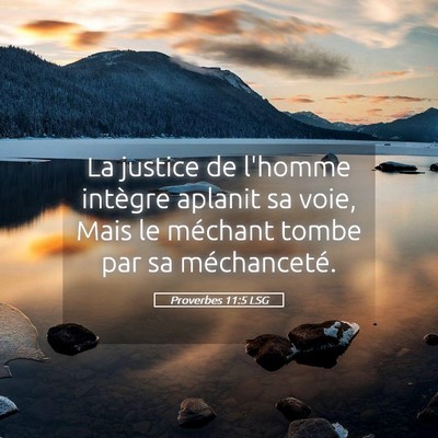 Picture 05 - Proverbes 11:5 LSG - La justice de l'homme intègre aplanit sa voie, - Bible Verse Picture