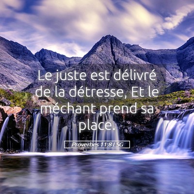 Picture 05 - Proverbes 11:8 LSG - Le juste est délivré de la détresse, Et le - Bible Verse Picture
