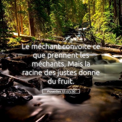 Picture 05 - Proverbes 12:12 LSG - Le méchant convoite ce que prennent les - Bible Verse Picture