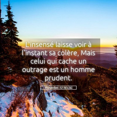 Picture 05 - Proverbes 12:16 LSG - L'insensé laisse voir à l'instant sa colère, - Bible Verse Picture