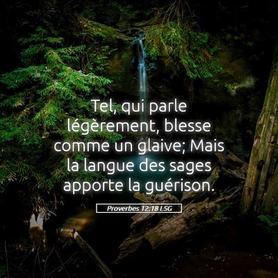 Picture 05 - Proverbes 12:18 LSG - Tel, qui parle légèrement, blesse comme un - Bible Verse Picture