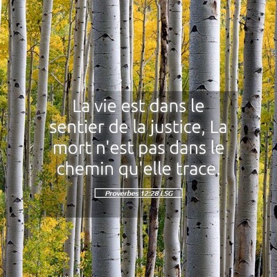 Picture 05 - Proverbes 12:28 LSG - La vie est dans le sentier de la justice, La mort - Bible Verse Picture