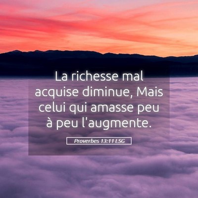 Picture 05 - Proverbes 13:11 LSG - La richesse mal acquise diminue, Mais celui qui - Bible Verse Picture