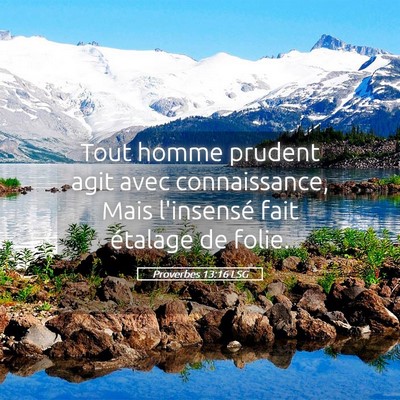 Picture 05 - Proverbes 13:16 LSG - Tout homme prudent agit avec connaissance, Mais - Bible Verse Picture