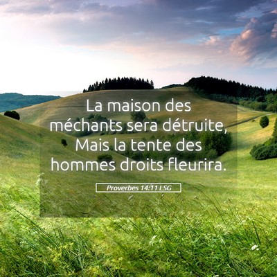 Picture 05 - Proverbes 14:11 LSG - La maison des méchants sera détruite, Mais la - Bible Verse Picture