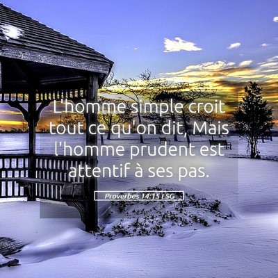 Picture 05 - Proverbes 14:15 LSG - L'homme simple croit tout ce qu'on dit, Mais - Bible Verse Picture