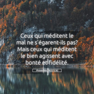 Picture 05 - Proverbes 14:22 LSG - Ceux qui méditent le mal ne s'égarent-ils pas? - Bible Verse Picture