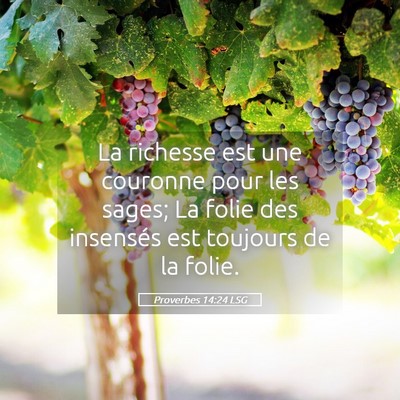 Picture 05 - Proverbes 14:24 LSG - La richesse est une couronne pour les sages; La - Bible Verse Picture