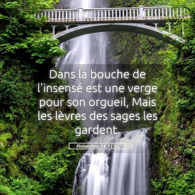 Picture 05 - Proverbes 14:3 LSG - Dans la bouche de l'insensé est une verge pour - Bible Verse Picture