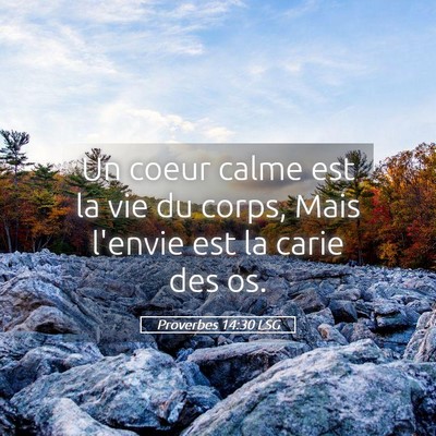 Picture 05 - Proverbes 14:30 LSG - Un coeur calme est la vie du corps, Mais l'envie - Bible Verse Picture