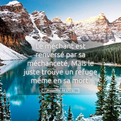 Picture 05 - Proverbes 14:32 LSG - Le méchant est renversé par sa méchanceté, - Bible Verse Picture