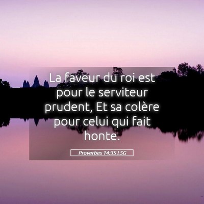 Picture 05 - Proverbes 14:35 LSG - La faveur du roi est pour le serviteur prudent, - Bible Verse Picture