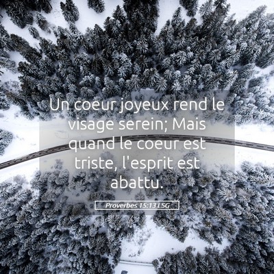 Picture 05 - Proverbes 15:13 LSG - Un coeur joyeux rend le visage serein; Mais quand - Bible Verse Picture