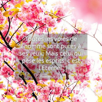 Picture 05 - Proverbes 16:2 LSG - Toutes les voies de l'homme sont pures à ses - Bible Verse Picture