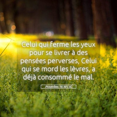 Picture 05 - Proverbes 16:30 LSG - Celui qui ferme les yeux pour se livrer à des - Bible Verse Picture