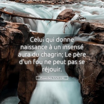 Picture 05 - Proverbes 17:21 LSG - Celui qui donne naissance à un insensé aura du - Bible Verse Picture
