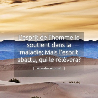 Picture 05 - Proverbes 18:14 LSG - L'esprit de l'homme le soutient dans la maladie; - Bible Verse Picture
