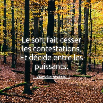 Picture 05 - Proverbes 18:18 LSG - Le sort fait cesser les contestations, Et décide - Bible Verse Picture