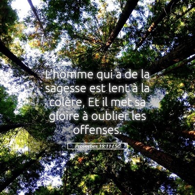 Picture 05 - Proverbes 19:11 LSG - L'homme qui a de la sagesse est lent à la - Bible Verse Picture