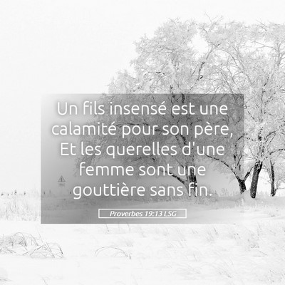 Picture 05 - Proverbes 19:13 LSG - Un fils insensé est une calamité pour son - Bible Verse Picture