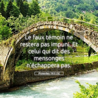 Picture 05 - Proverbes 19:5 LSG - Le faux témoin ne restera pas impuni, Et celui - Bible Verse Picture