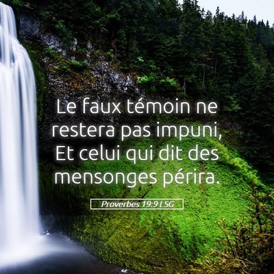 Picture 05 - Proverbes 19:9 LSG - Le faux témoin ne restera pas impuni, Et celui - Bible Verse Picture