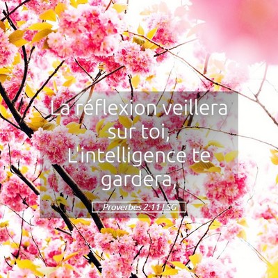 Picture 05 - Proverbes 2:11 LSG - La réflexion veillera sur toi, L'intelligence te - Bible Verse Picture