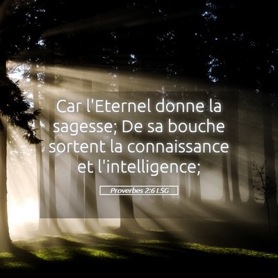 Picture 05 - Proverbes 2:6 LSG - Car l'Eternel donne la sagesse; De sa bouche - Bible Verse Picture