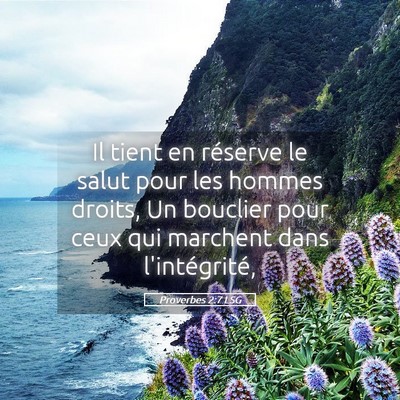Picture 05 - Proverbes 2:7 LSG - Il tient en réserve le salut pour les hommes - Bible Verse Picture