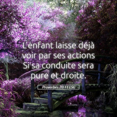 Picture 05 - Proverbes 20:11 LSG - L'enfant laisse déjà voir par ses actions Si sa - Bible Verse Picture