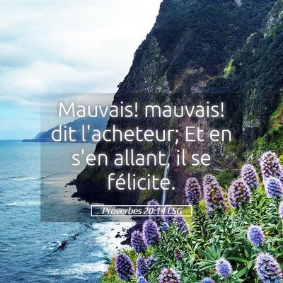 Picture 05 - Proverbes 20:14 LSG - Mauvais! mauvais! dit l'acheteur; Et en s'en - Bible Verse Picture