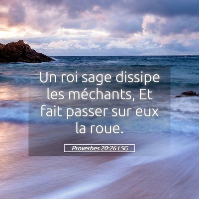Picture 05 - Proverbes 20:26 LSG - Un roi sage dissipe les méchants, Et fait passer - Bible Verse Picture