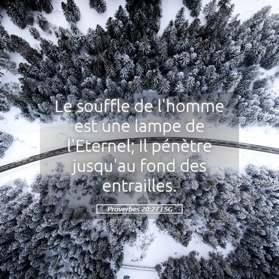Picture 05 - Proverbes 20:27 LSG - Le souffle de l'homme est une lampe de l'Eternel; - Bible Verse Picture