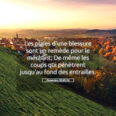 Picture 05 - Proverbes 20:30 LSG - Les plaies d'une blessure sont un remède pour le - Bible Verse Picture